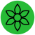 Wildflowers